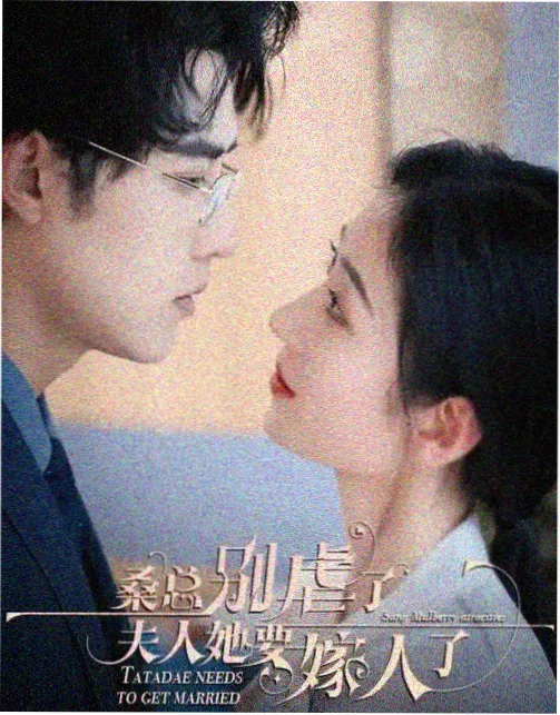 免费追剧网站 最新